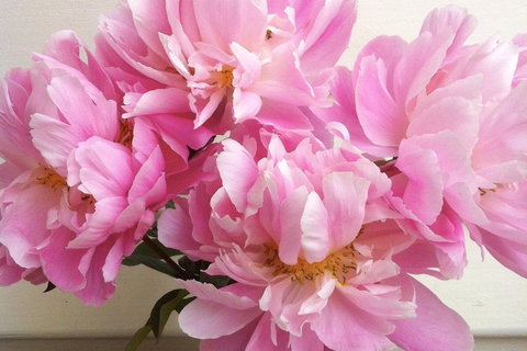 Cambridge House - Accommodation Perth 6