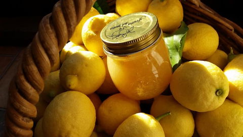 Bellbird Cottage B & B - Accommodation Perth 2