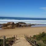 Bellbird Cottage B & B - Accommodation Perth 0