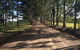 Blackwattle Farm B&B And Farm Stay - thumb 3