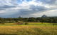 Blackwattle Farm B&B And Farm Stay - thumb 0