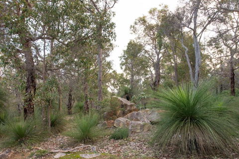 A Hidden Bush Delight - Accommodation Perth 6