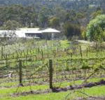 Eureka Farm - Accommodation Perth