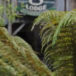 The Wombat Cottage - Perth Resorts 0