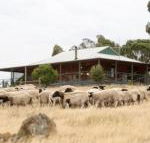 Gilgraves Vineyard Farmstay - Accommodation Perth