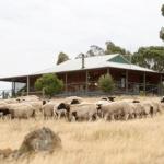 Gilgraves Vineyard Farmstay - Accommodation Perth 0