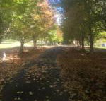 A peaceful cabin in the country - Accommodation Perth