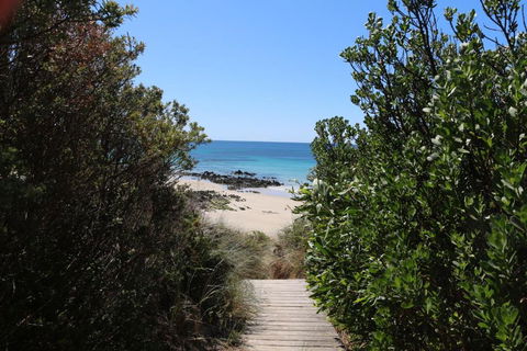 Sisters Beach Paradise - Perth Resorts 2