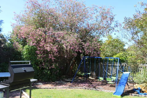 Sisters Beach Paradise - Perth Resorts 3