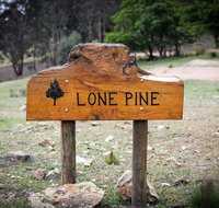 Lone Pine Farmhouse - Accommodation Perth
