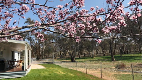 Rosewood Cottage - Accommodation Perth 3