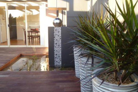 The Wet Lizard - Accommodation Perth 0
