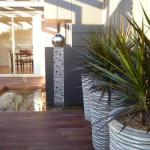 The Wet Lizard - Accommodation Perth 1