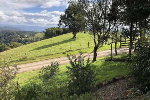 Top Cottage At Maleny - Accommodation Perth 5