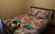 Cozy Stay At Kearsley - thumb 6