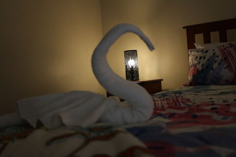 Cozy Stay At Kearsley - Accommodation Perth 2