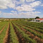 Barossa Valley Lyndoch - Accommodation Perth 0