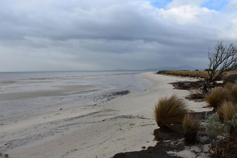 Tidal Dreaming Seaview Cottages - Accommodation Perth 6