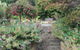 Gardenia House - thumb 2