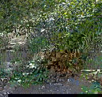 Rare Modern Unit w Private Fenced garden Close to The Beach PC3 - Perth Resorts