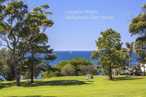 Mollymooks Tee To Sea 19 Buchan Street - Perth Resorts 2