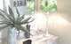 Sinclair Rainbow Beach Modern Beach House Close To Everything Free Wi Fi - thumb 6
