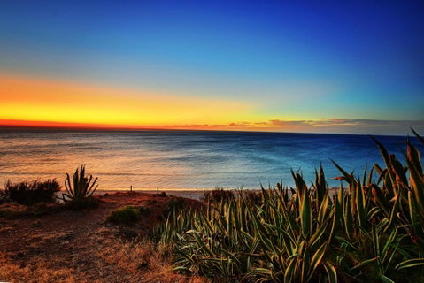 Palms On The Esplanade Sellicks Beach WiFi - Accommodation Perth 4