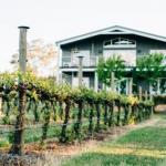 Mortimers Wines The Canopy Loft - Perth Resorts 1