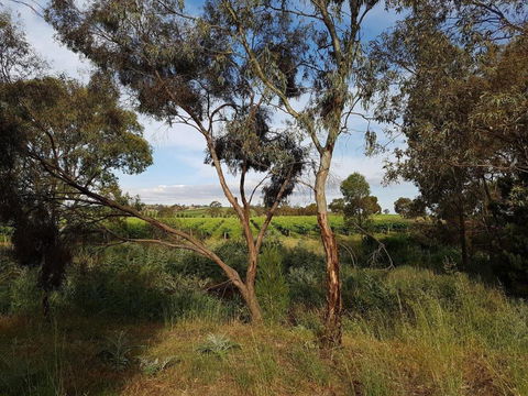 Barossa Glen Henris Cottage Bed & Breakfast - Accommodation Perth 6
