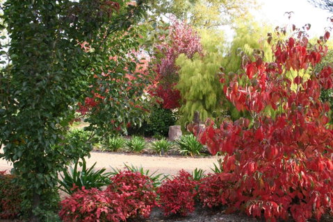 Delderfield Cottages - Accommodation Perth 4