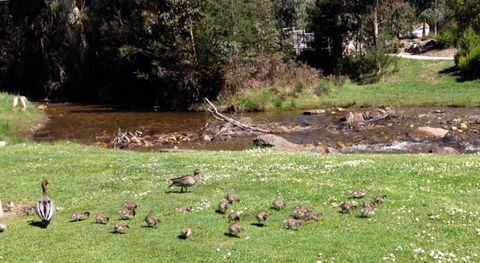 RiverCottage Selfcontained - Accommodation Perth 3