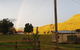 Glenmurray Country Farm Stay! - thumb 6