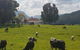 Glenmurray Country Farm Stay! - thumb 0