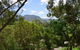Treetops Newly Renovated In The Village! - thumb 6