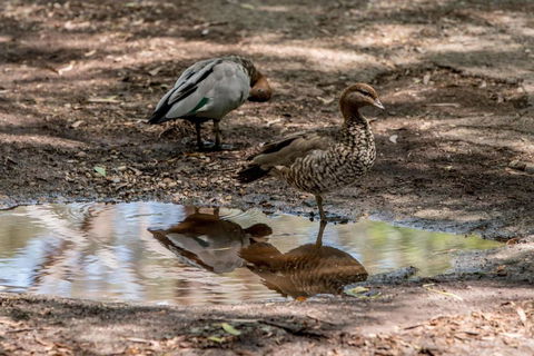 Belair National Park Holiday Park - Accommodation Perth 6