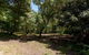 Belair National Park Holiday Park - thumb 2