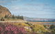 20 Lady Bay Road - thumb 6