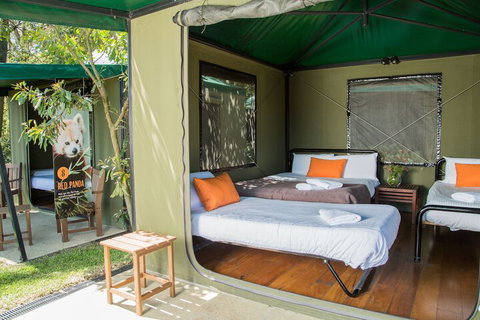 Roar And Snore At Taronga Zoo Sydney - Accommodation Perth 1