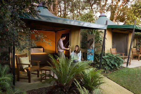 Roar And Snore At Taronga Zoo Sydney - Accommodation Perth 4