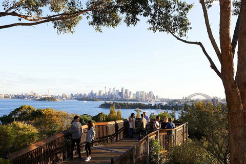 Roar And Snore At Taronga Zoo Sydney - Accommodation Perth 6