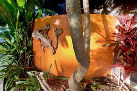 Driftwood Villa - Accommodation Perth 4