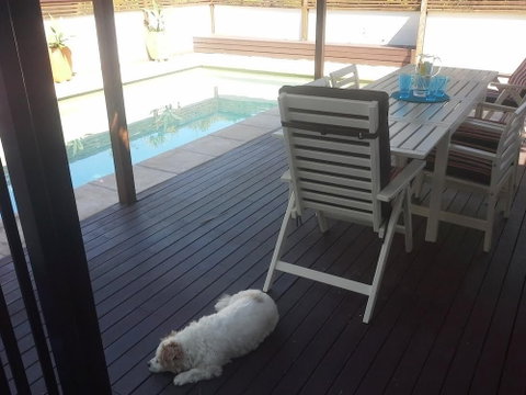 Minutes Walk To Peregian Beach & Surf! Unit 1 / 28 Pelican Street - Accommodation Perth 1