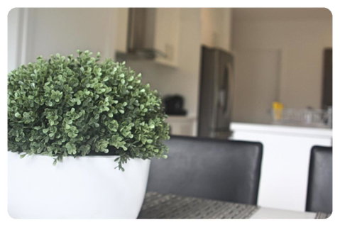 The Shae Luka Private Apartment - Accommodation Perth 5