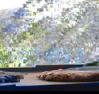 Driftwood - Accommodation Perth