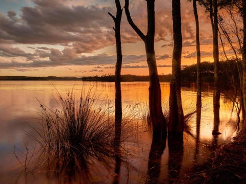 Banksia - Accommodation Perth 3