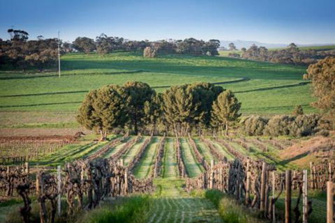 Lucys Cottage - Accommodation Perth 4