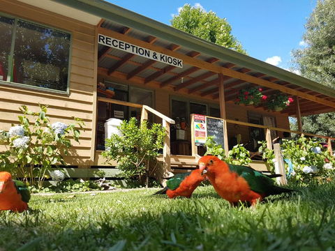 Jamieson Caravan Park - Accommodation Perth 4