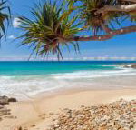 Coolum Classic Beach Shack Pet Friendly - Accommodation Perth