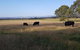 Olinda Yarra Cottage - thumb 6