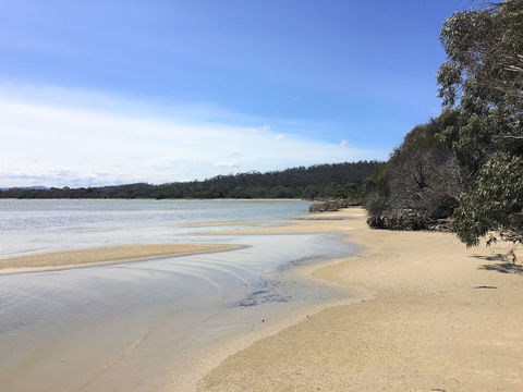 Oystercatcher - Accommodation Perth 6